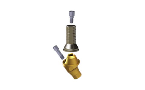 Multi Piece Abutment