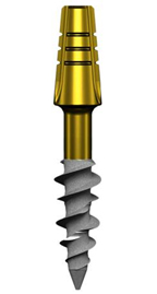 Immediate loading dental implant technique