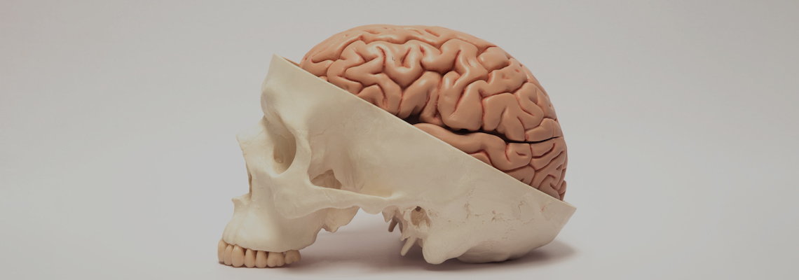 Mind Your Mouth: How Oral Health Shapes Brain Power