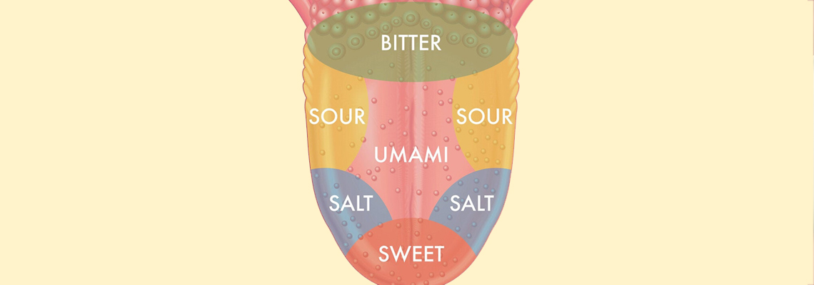 Read more about the article Taste Bud Topography: Your Tongue Map Changes With Dental Health